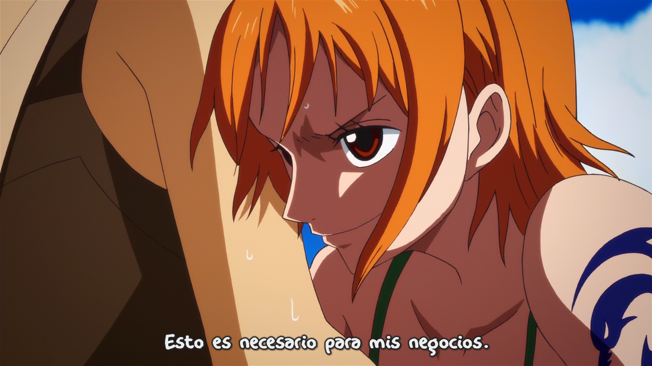 One Piece - Episode of Nami: Kōkaishi no Namida to Nakama no Kizuna (Shichibukai)